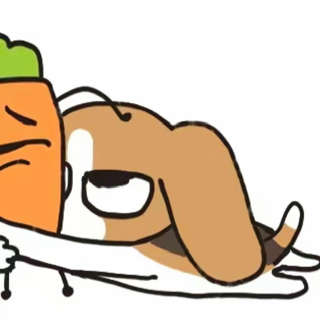 王媛媛.