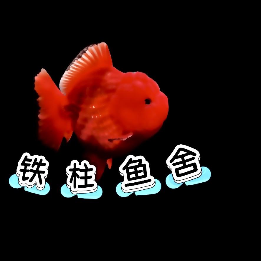 铁柱鱼社（飞天将军）