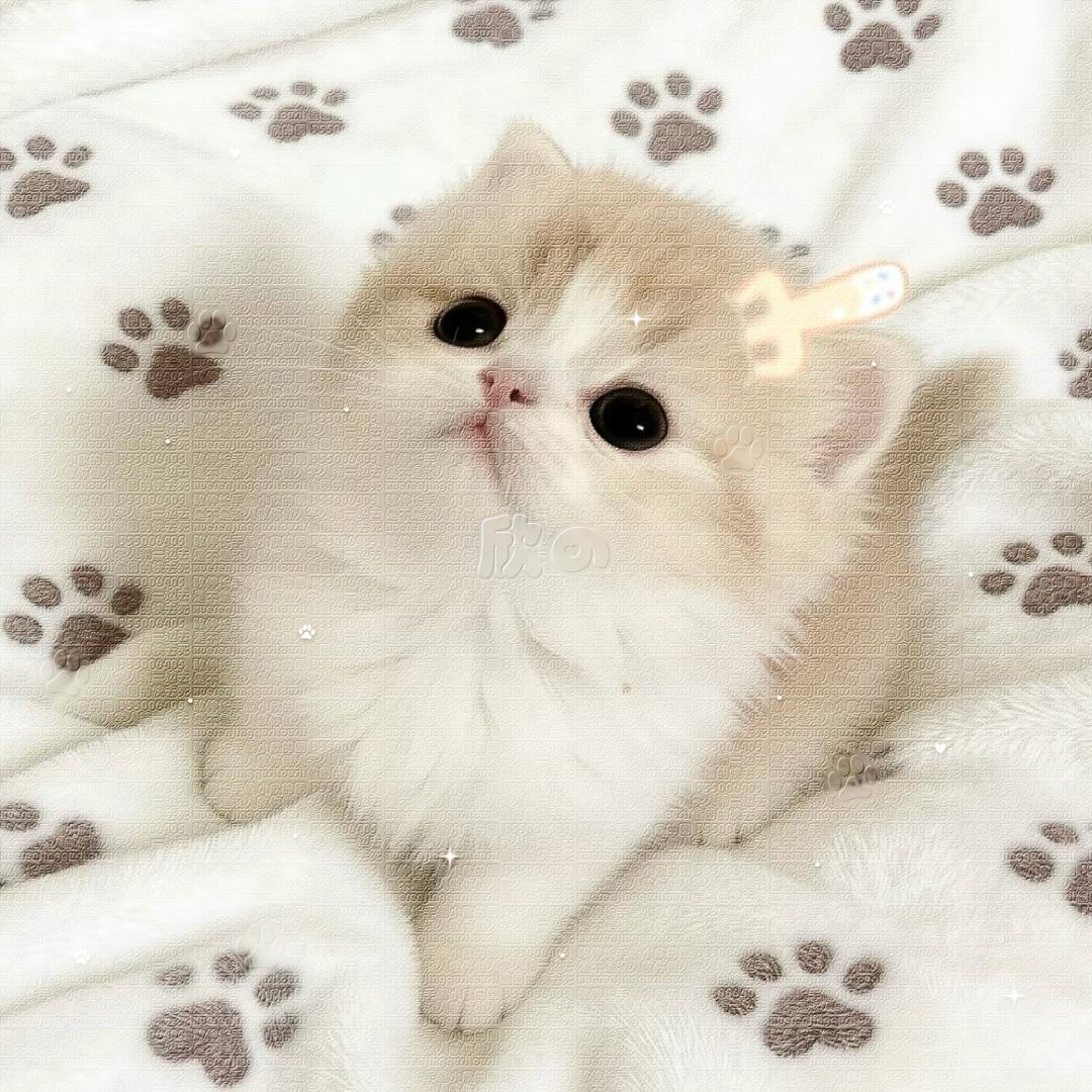 我不太想说话