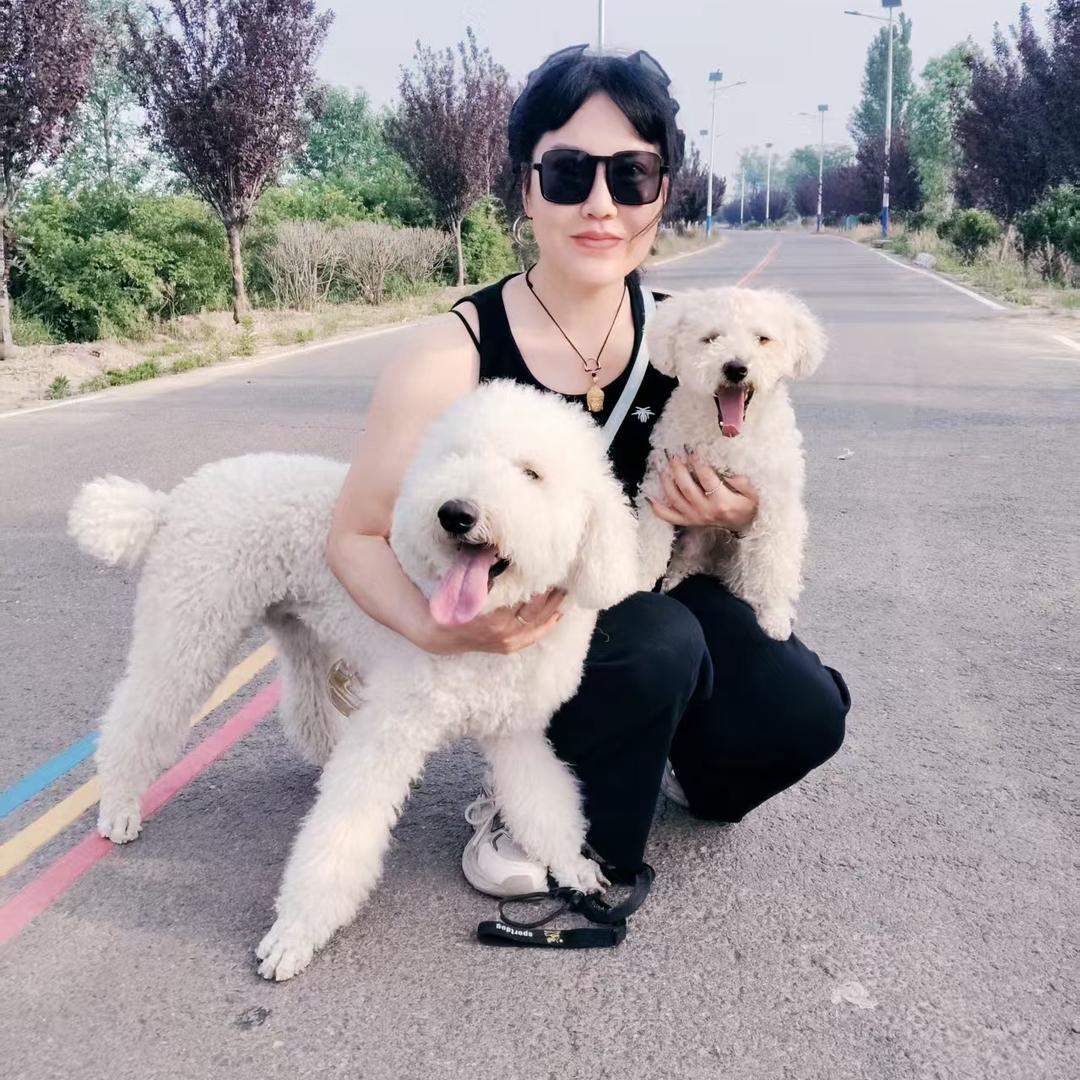 可可乐与布丁丁