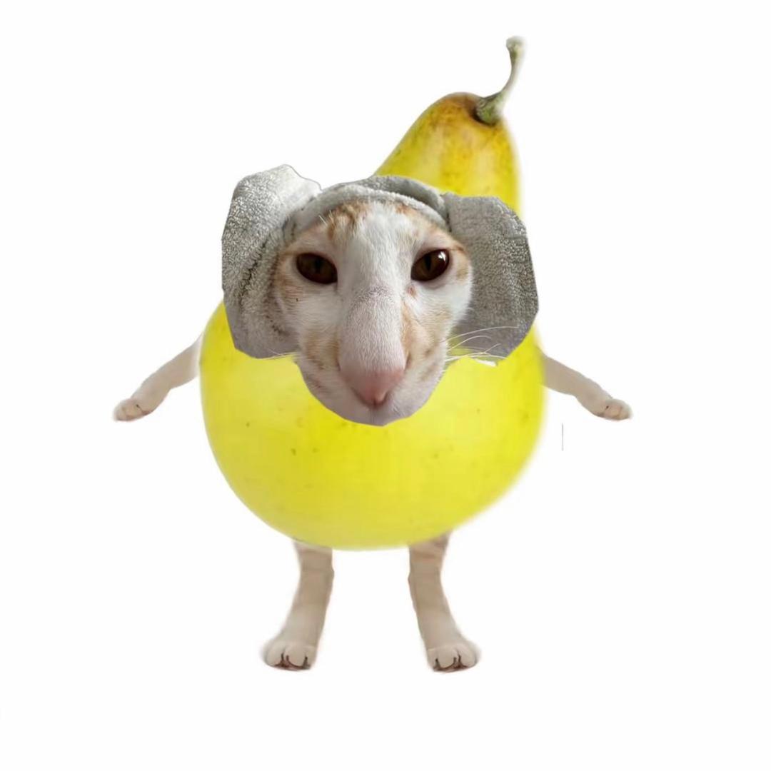 把你们豆沙了