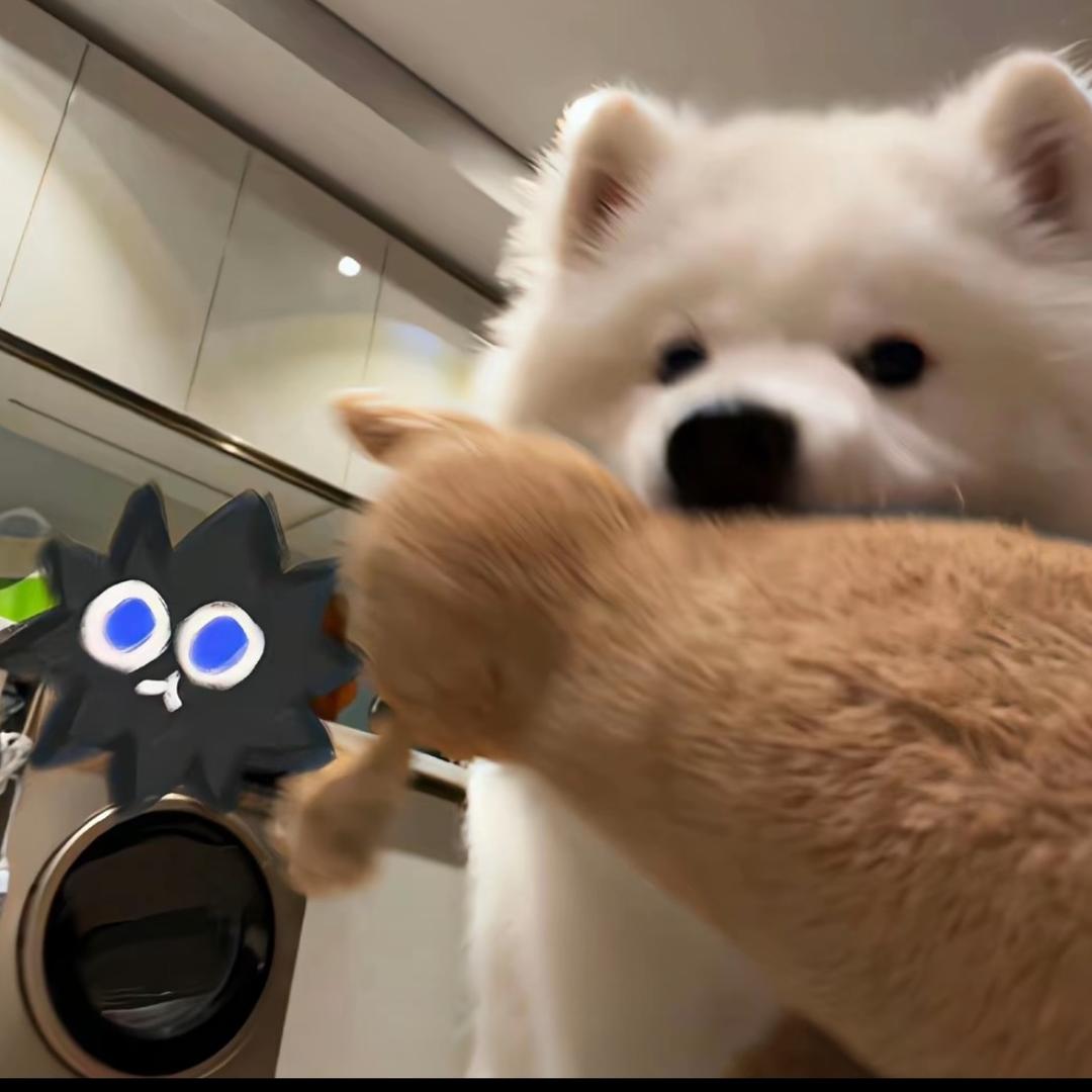 上饶 典当 回收 置换认准巴黎的刘🤴