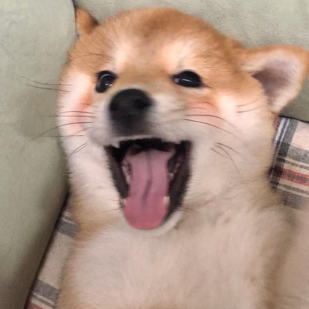 一碗热的粥