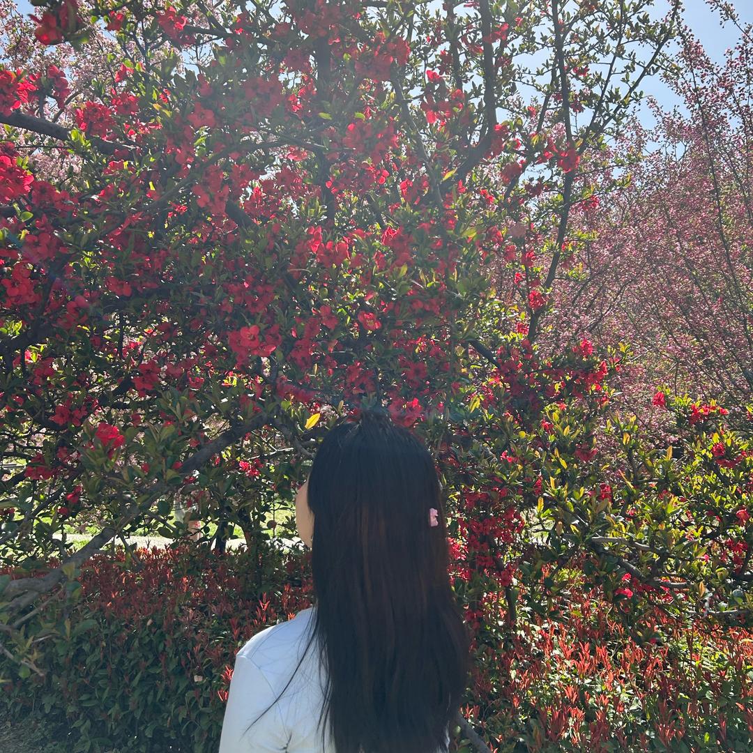 小香@