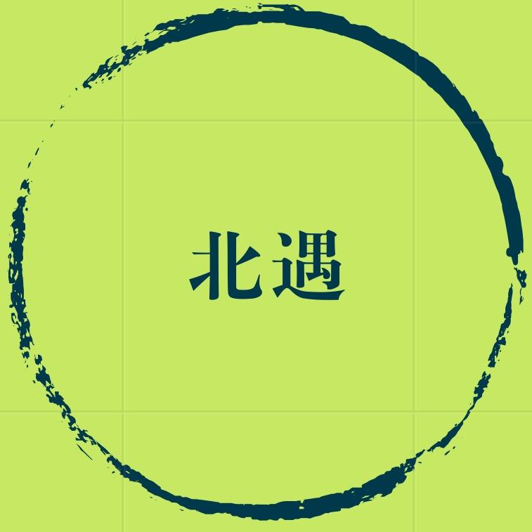 北遇视界