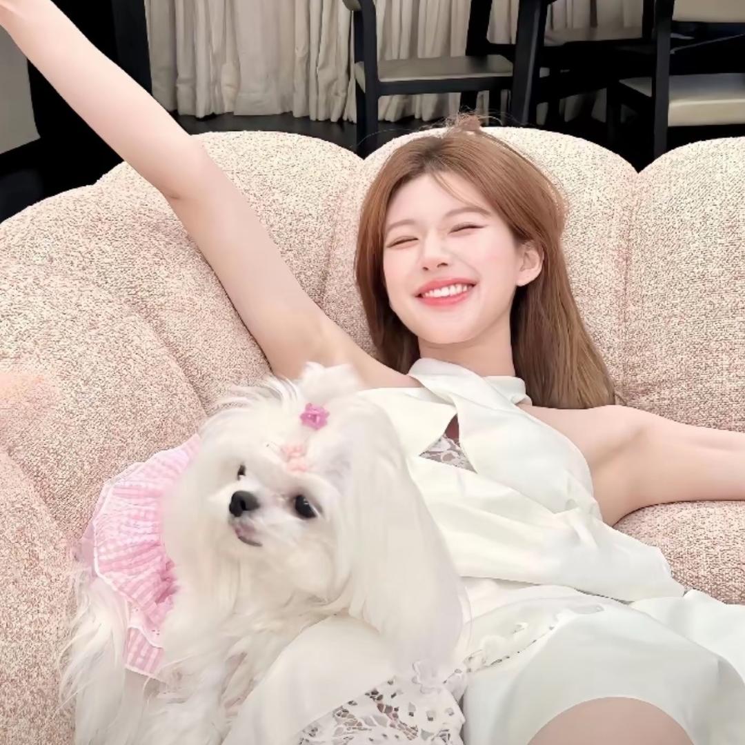 羊驼🦙
