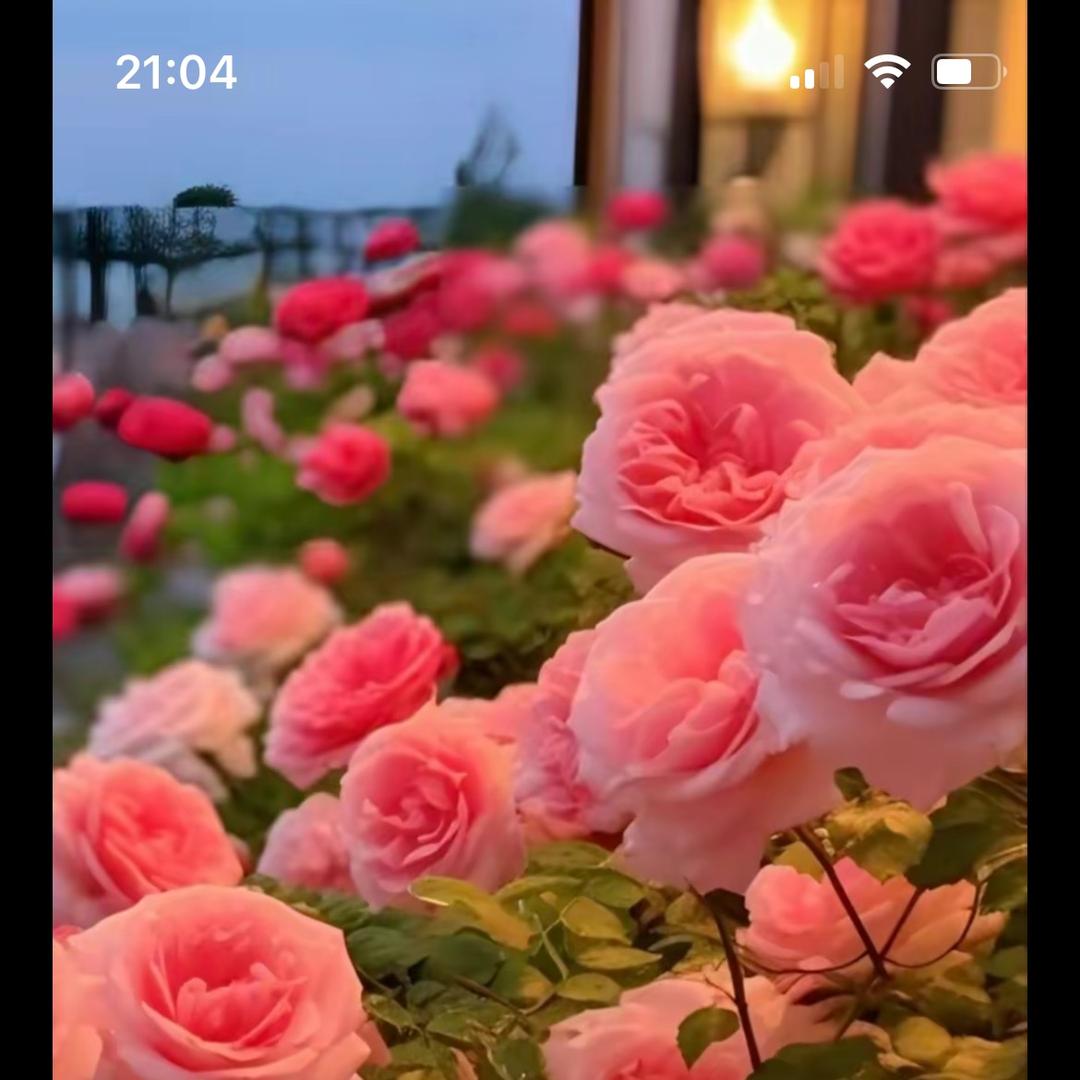 🌈幸运星🌟