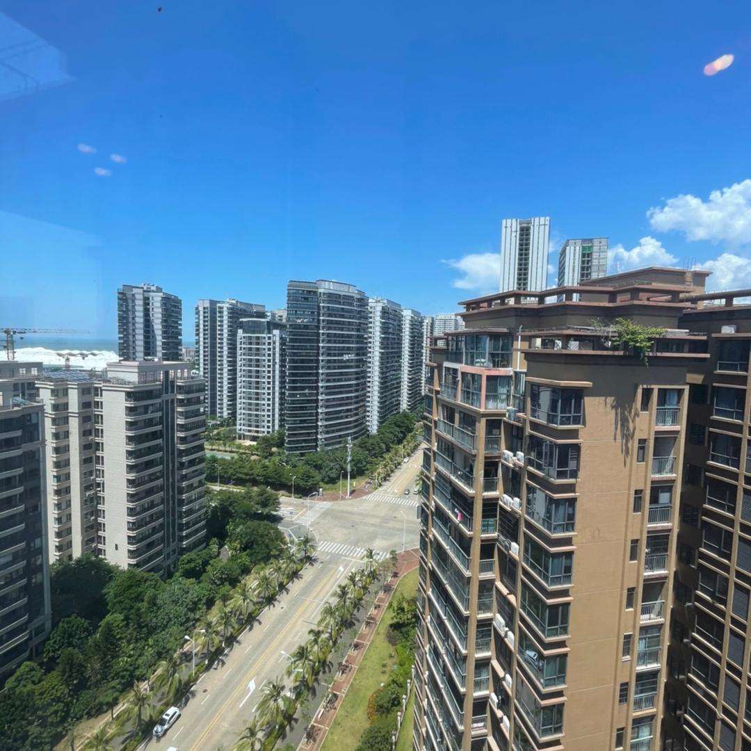 苏苏的椰岛安家记