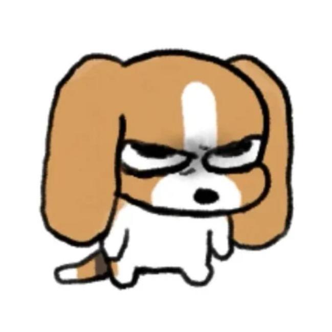 龙城徐少