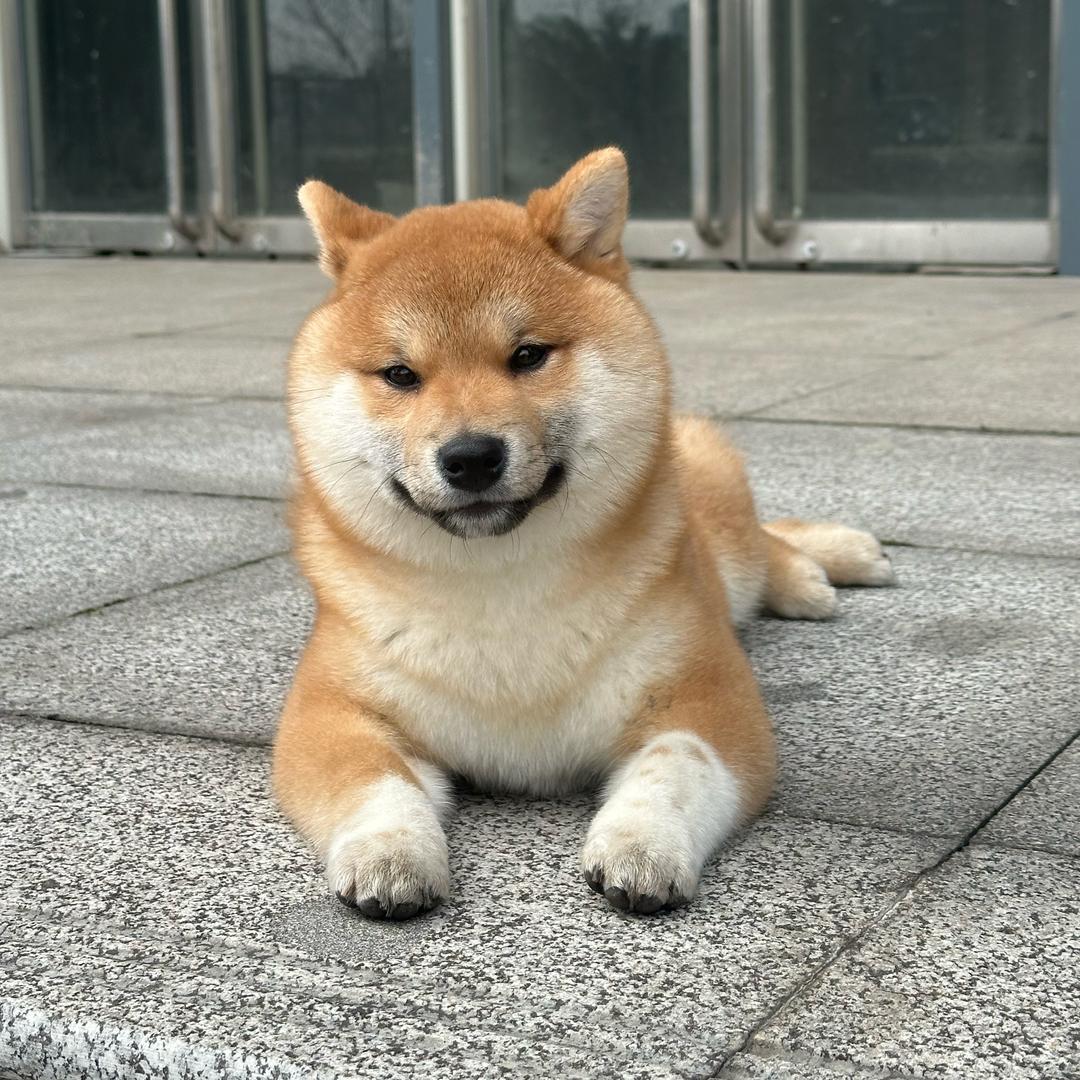 小刘很哇塞