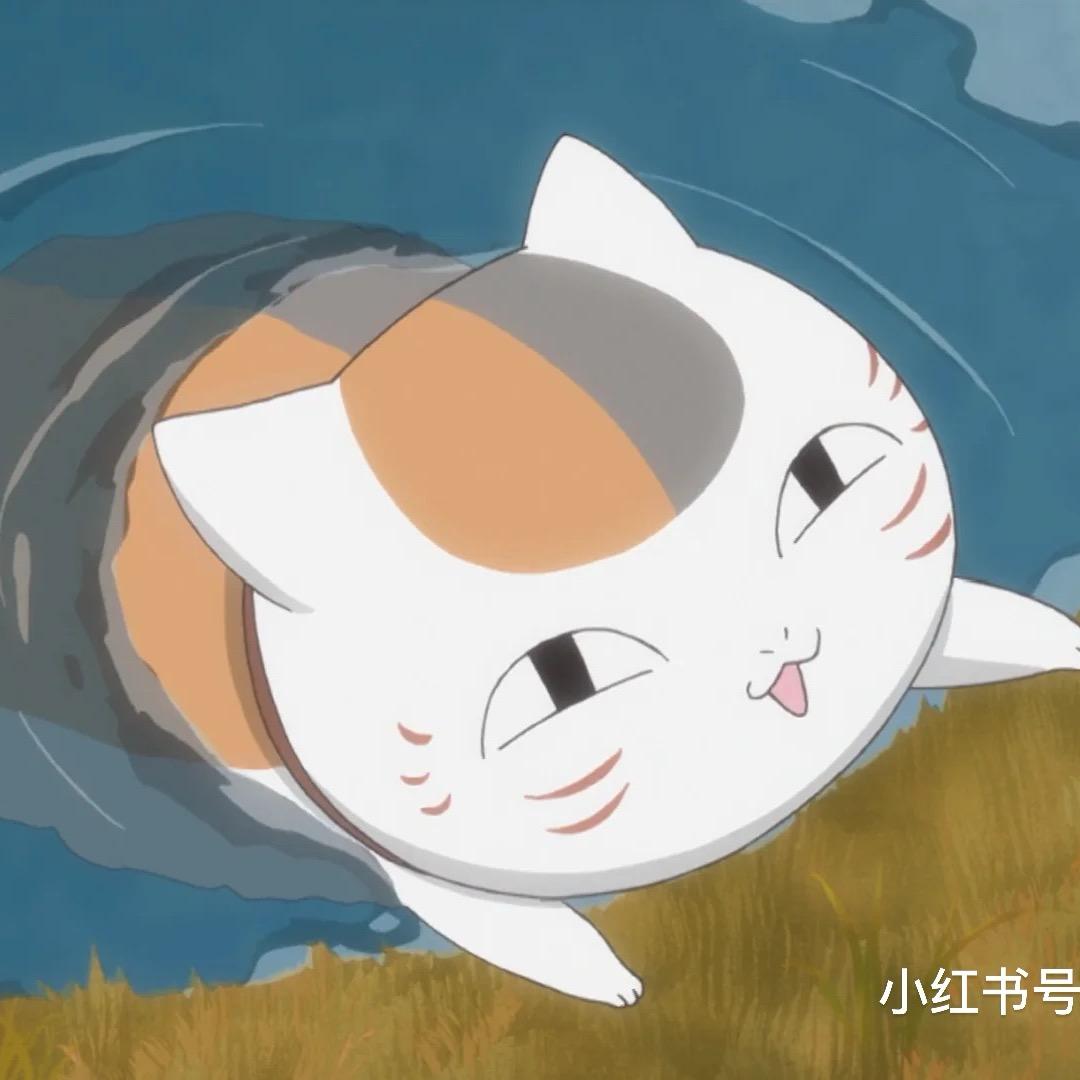 尤点其怪