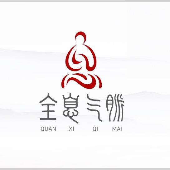 全息气脉健康