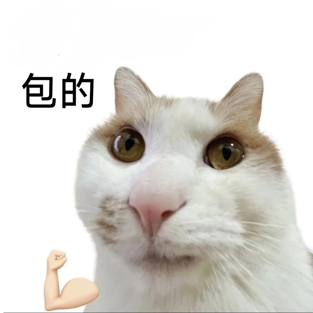面条王dd.