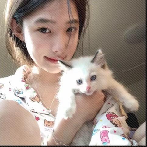莹莹子