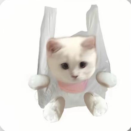 小张张