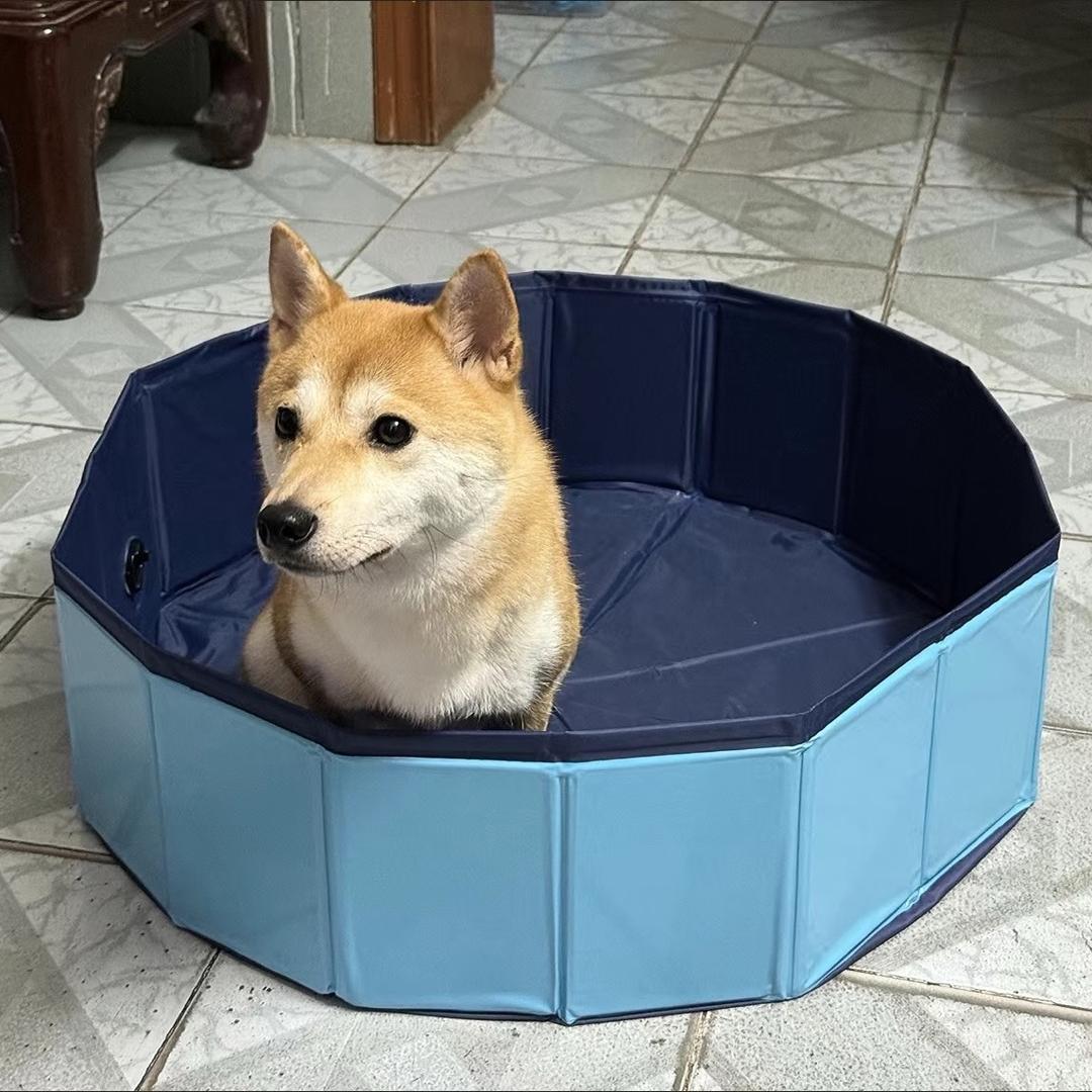 宠物水池
