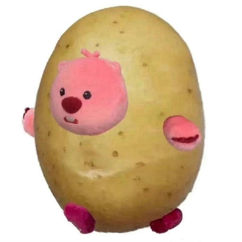 pp