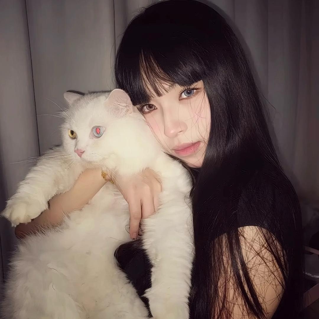 @杨小姐