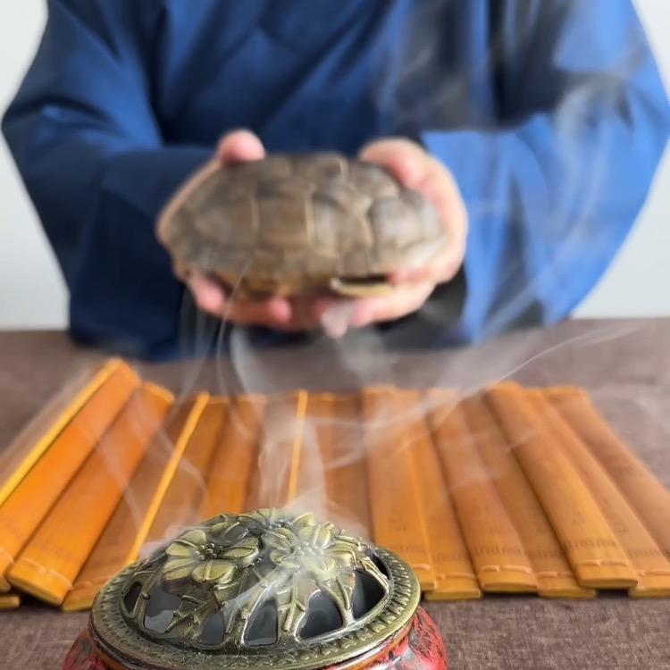 师姐五行疗愈