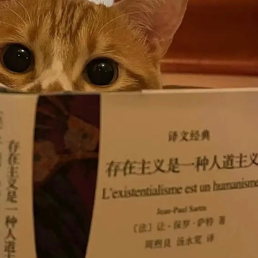 兀兀
