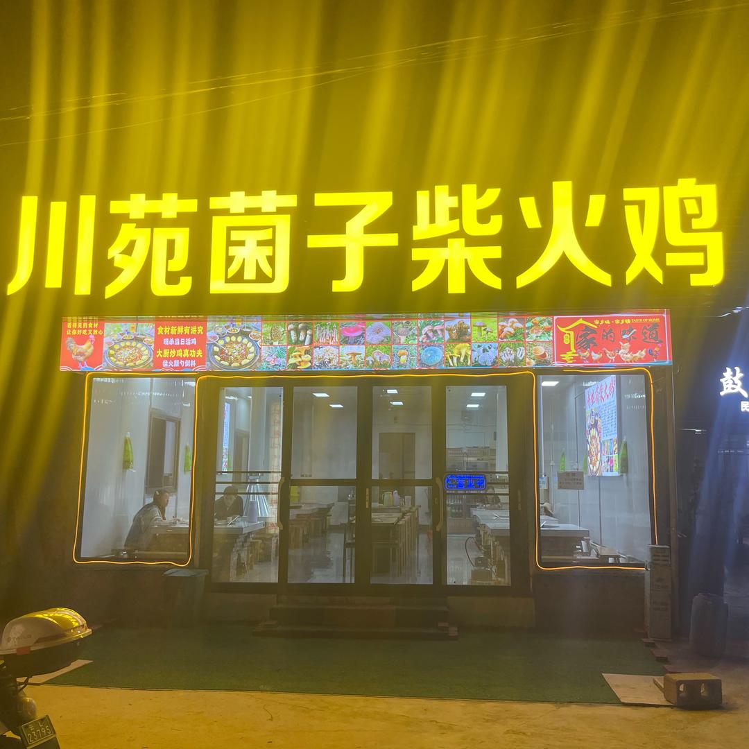 大理洱海火鸡哥