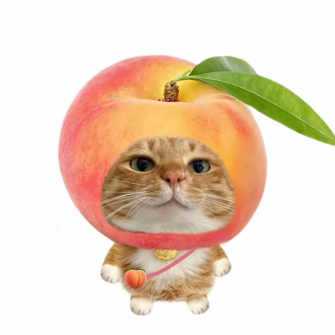 Aaaa