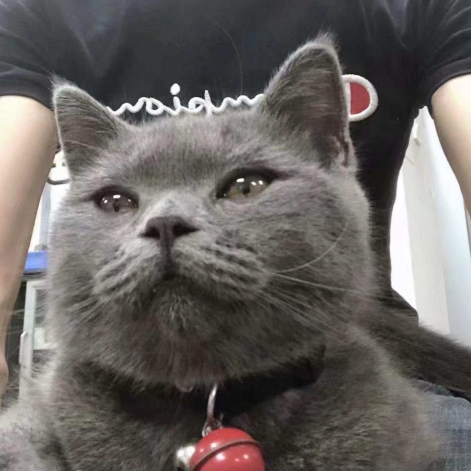 喵毛供应商