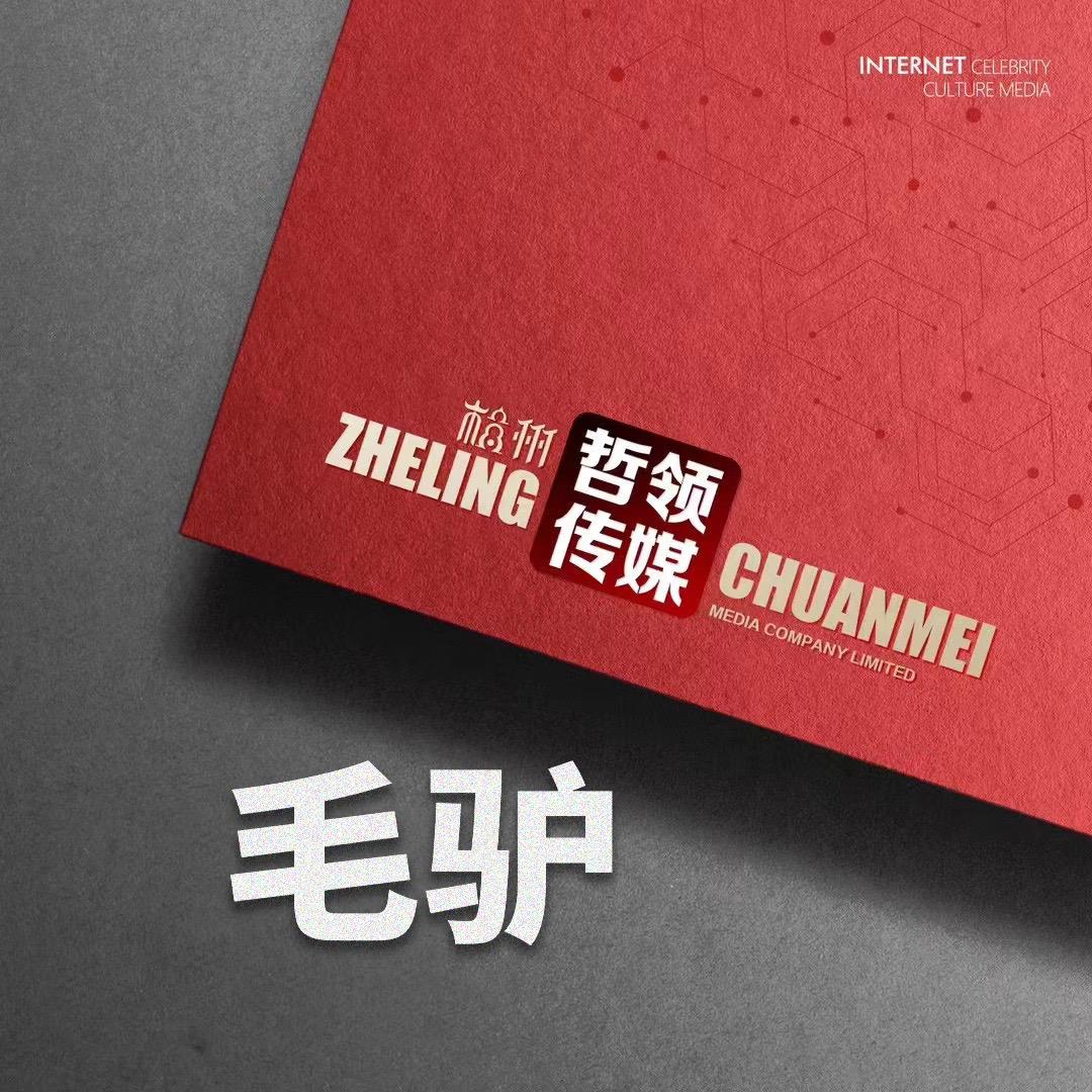 大毛驴²⁹³（哲领传媒招收优质艺人）