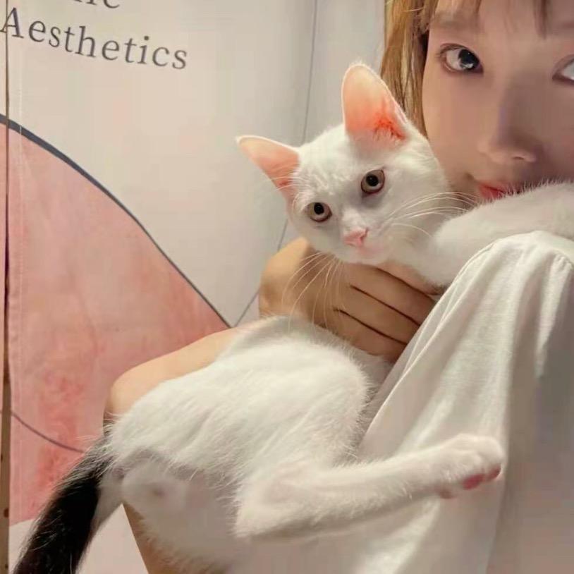 晚清ᐝ