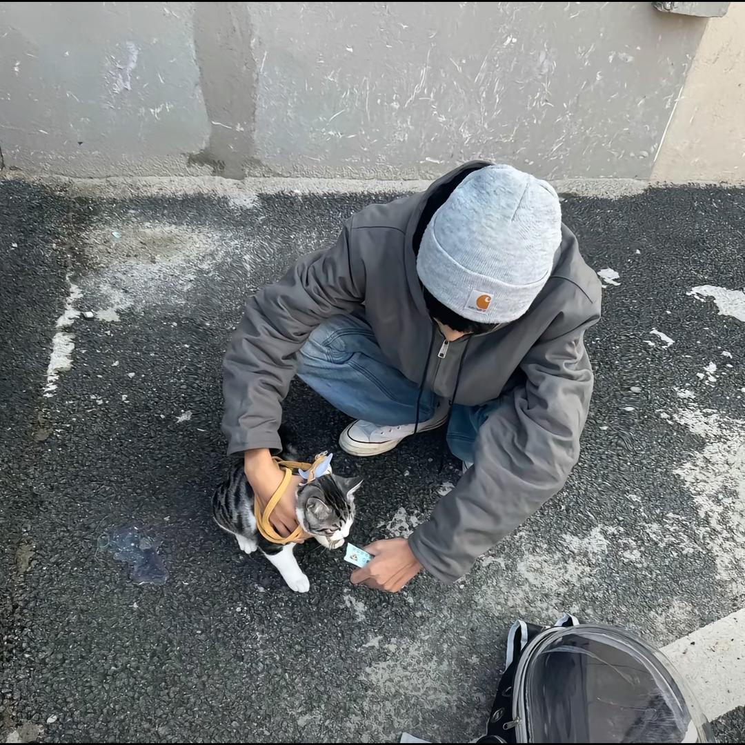 琦