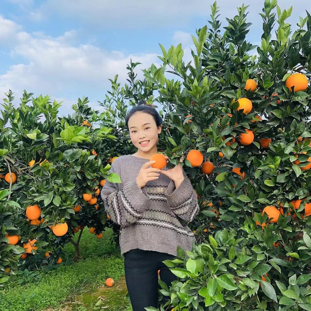脐橙基地二小姐