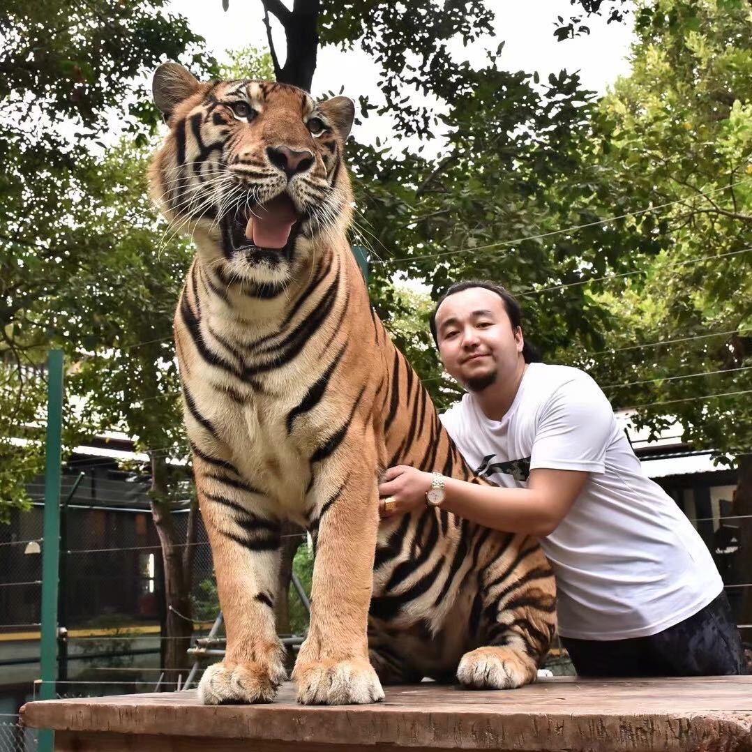 爱财爱己风生水起