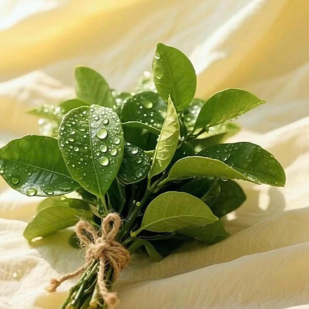 带你玩游遍丽水