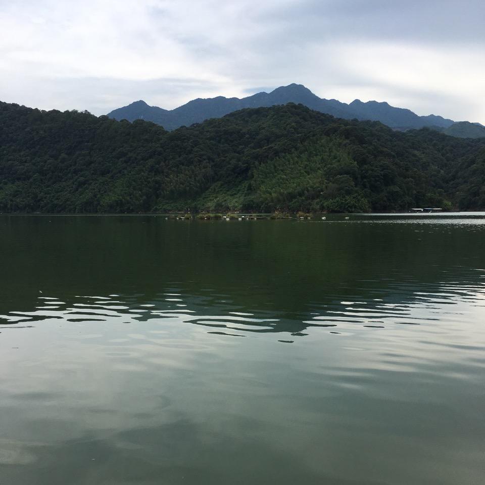 艺之林