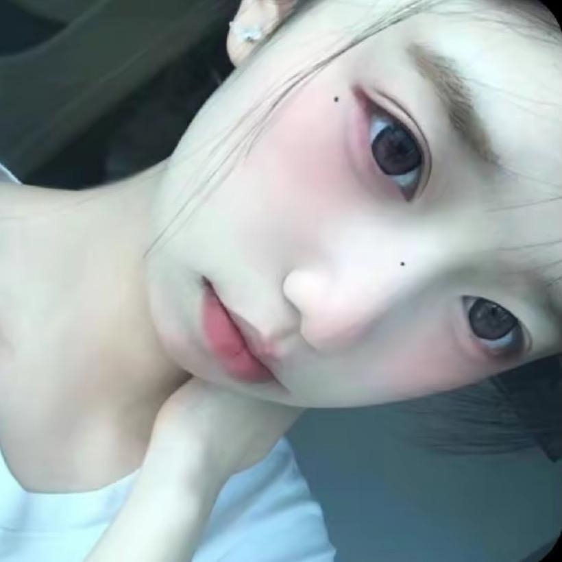 棕豆兔