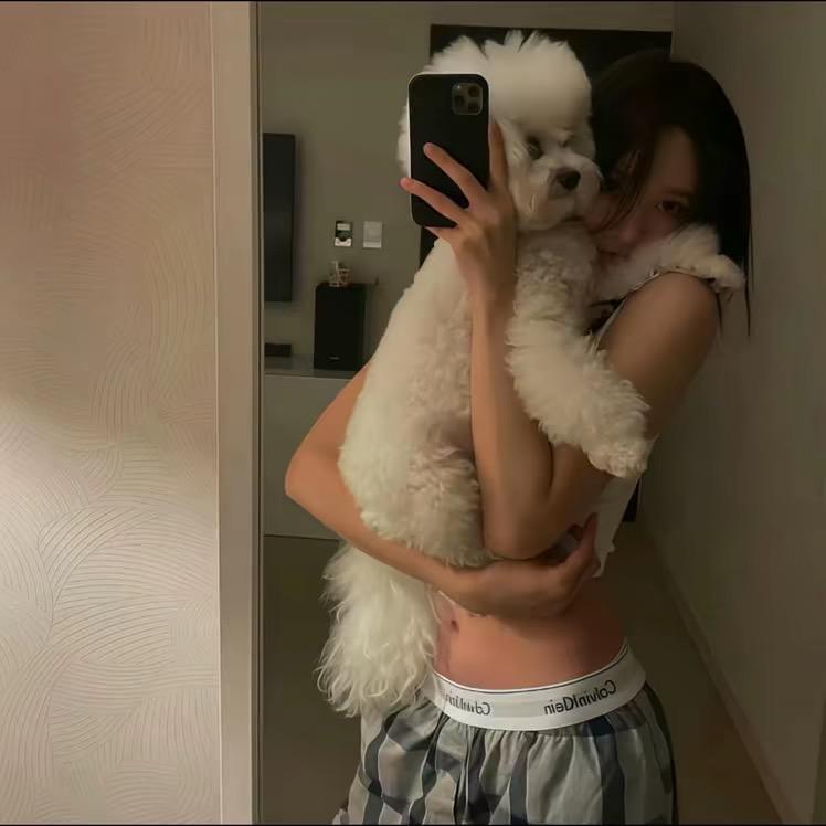 屎到淋头还想搅便