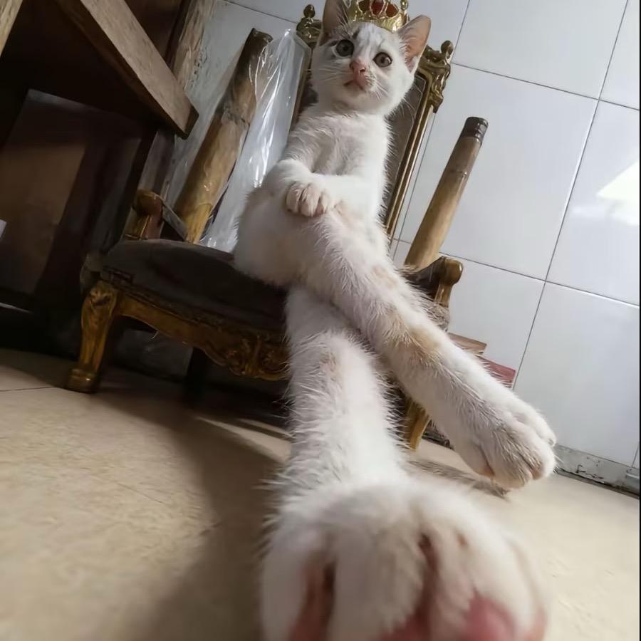 㿝氼