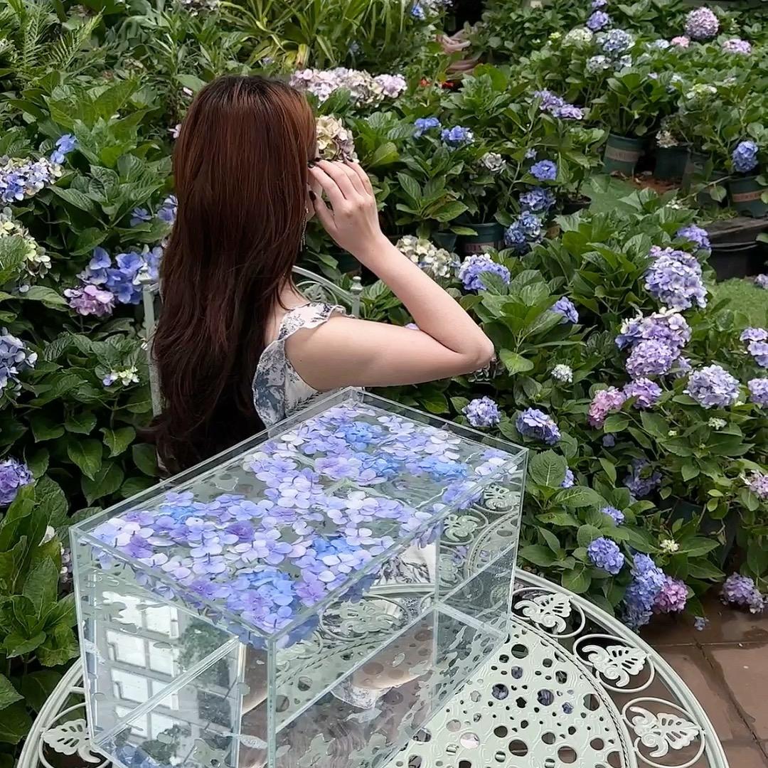 一棵小媛媛