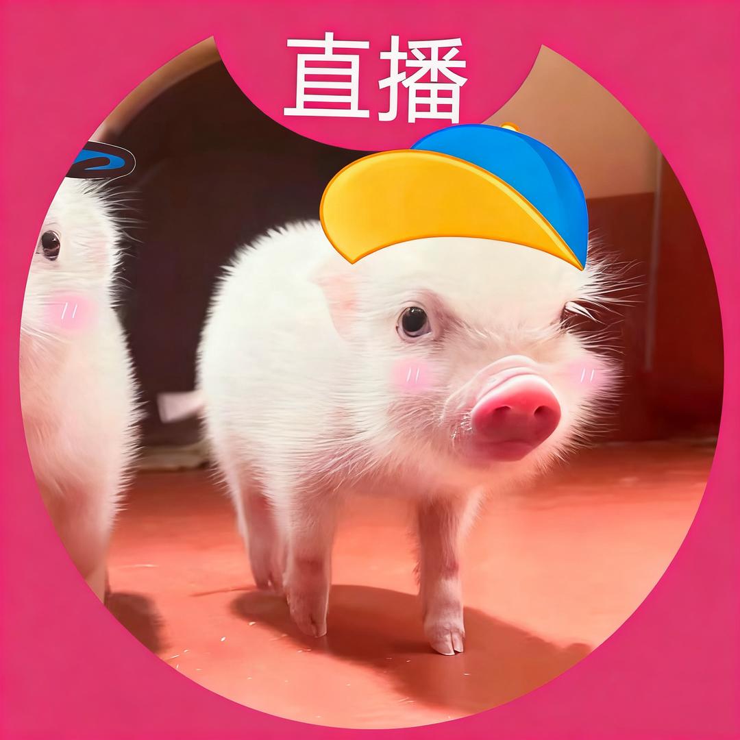 老公为养小3背着小4在外做0被小5发现