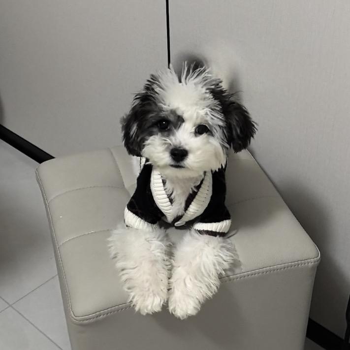 洪盛胜精品推荐