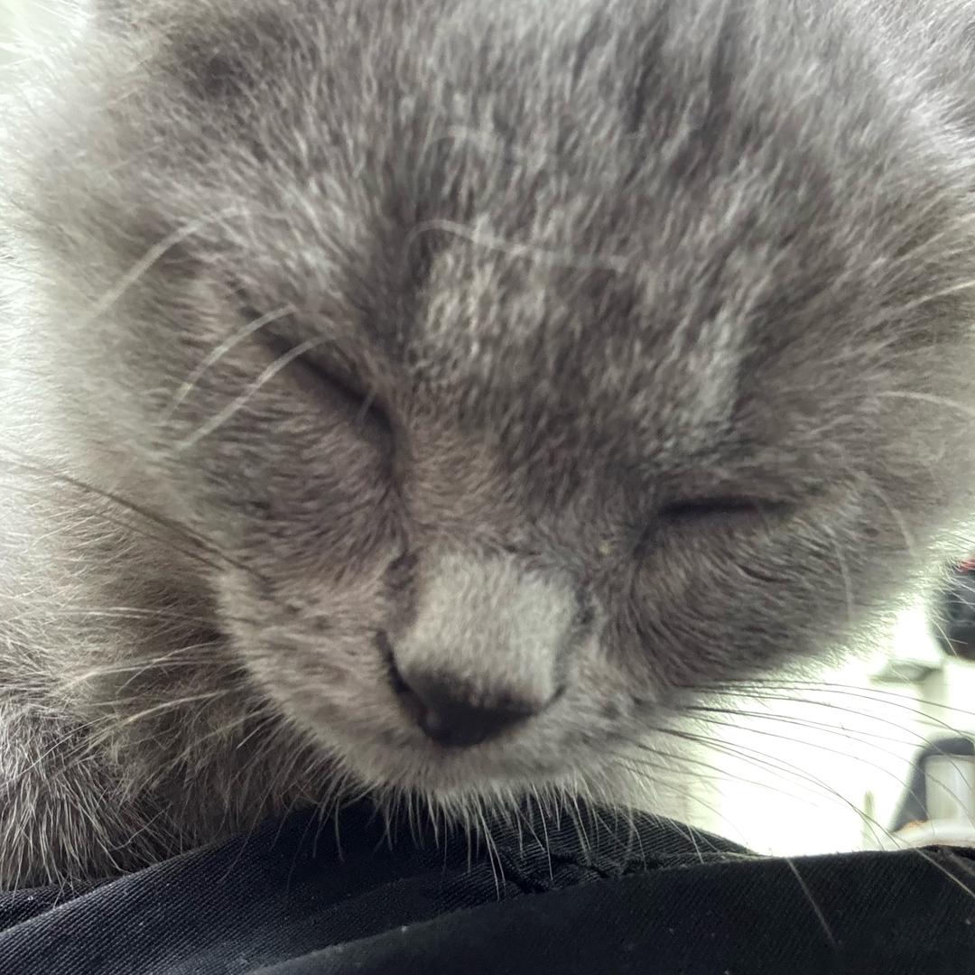 福万家生活超市(佛富路店)宠粉号