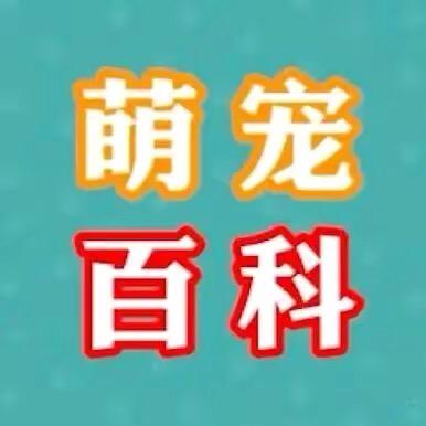 萌宠百科Show@抖音