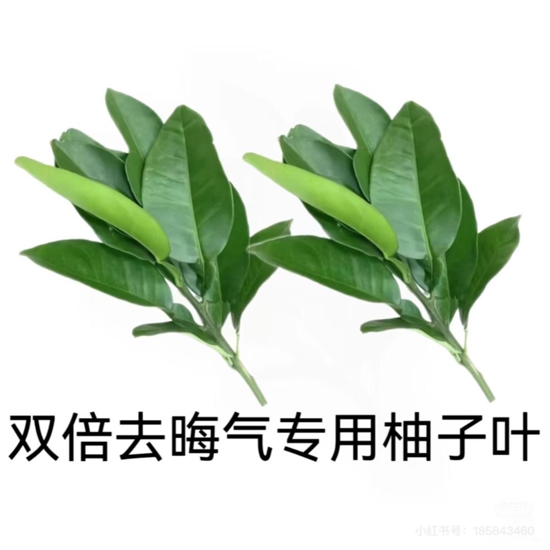 李宣美