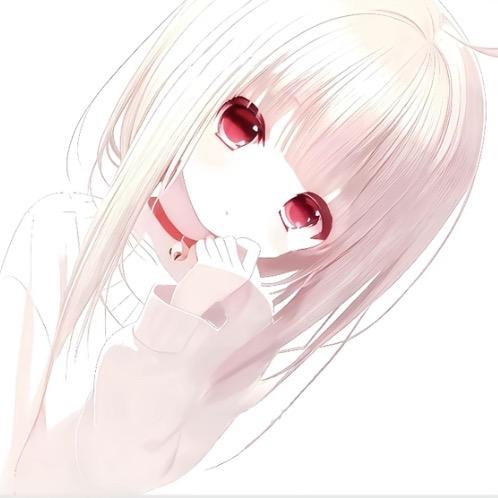 兔子宝