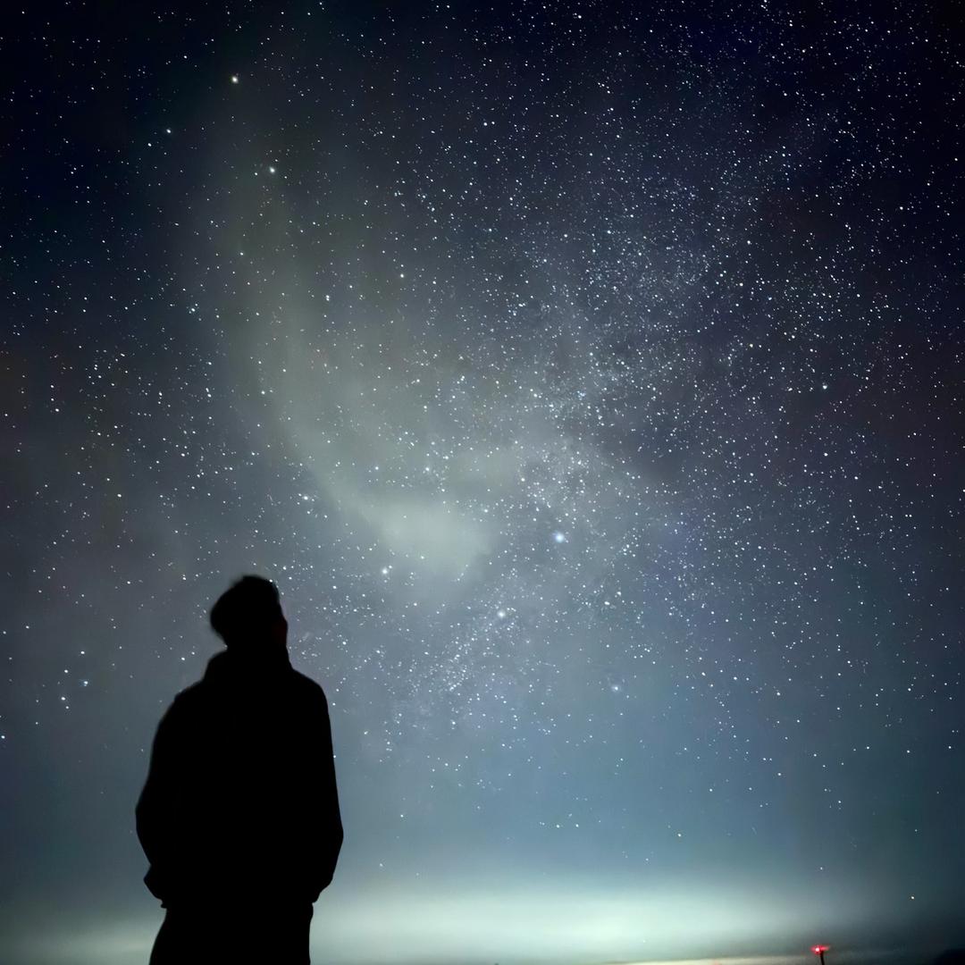 530（嘻猫嘻狗宠物用品店）