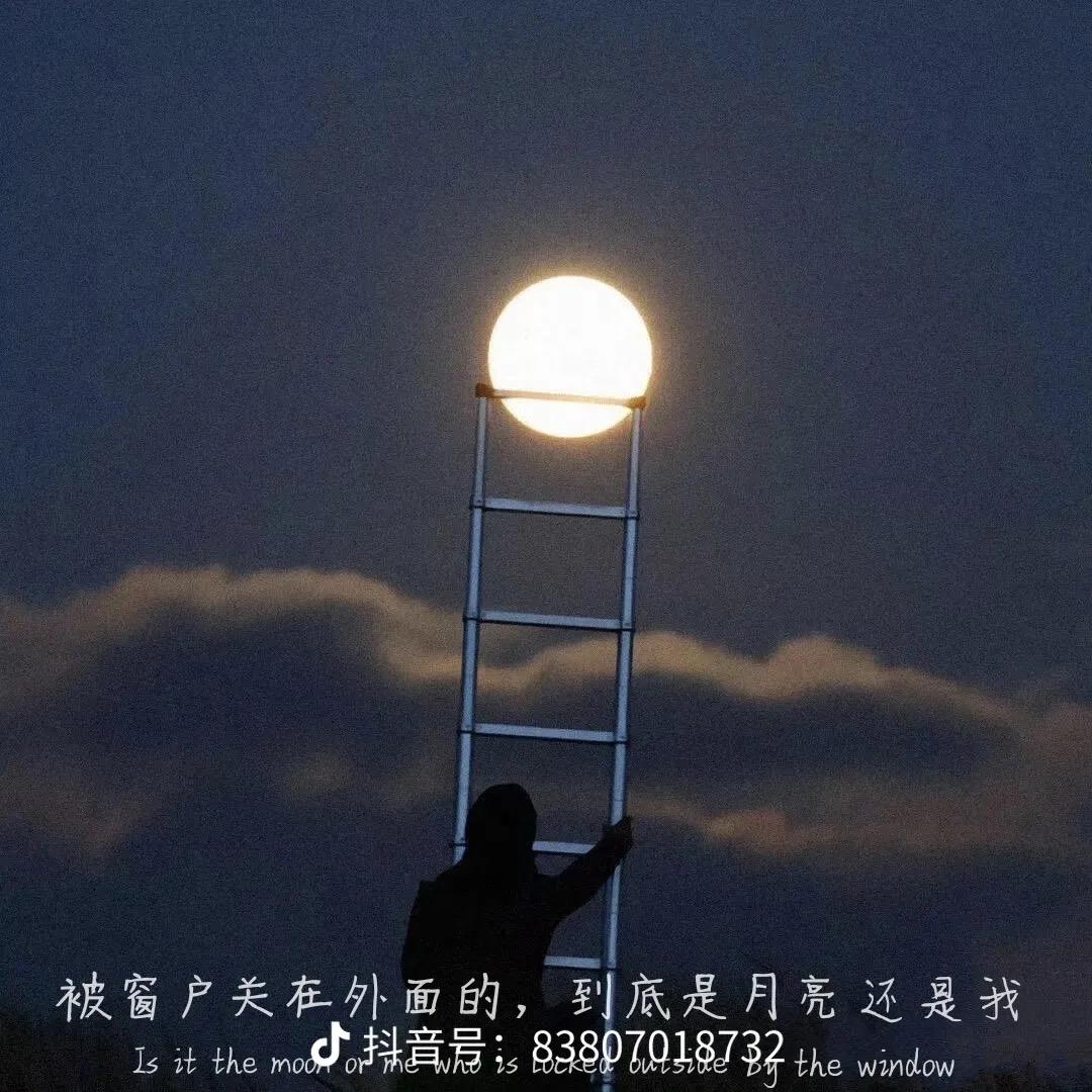美洋洋🐟