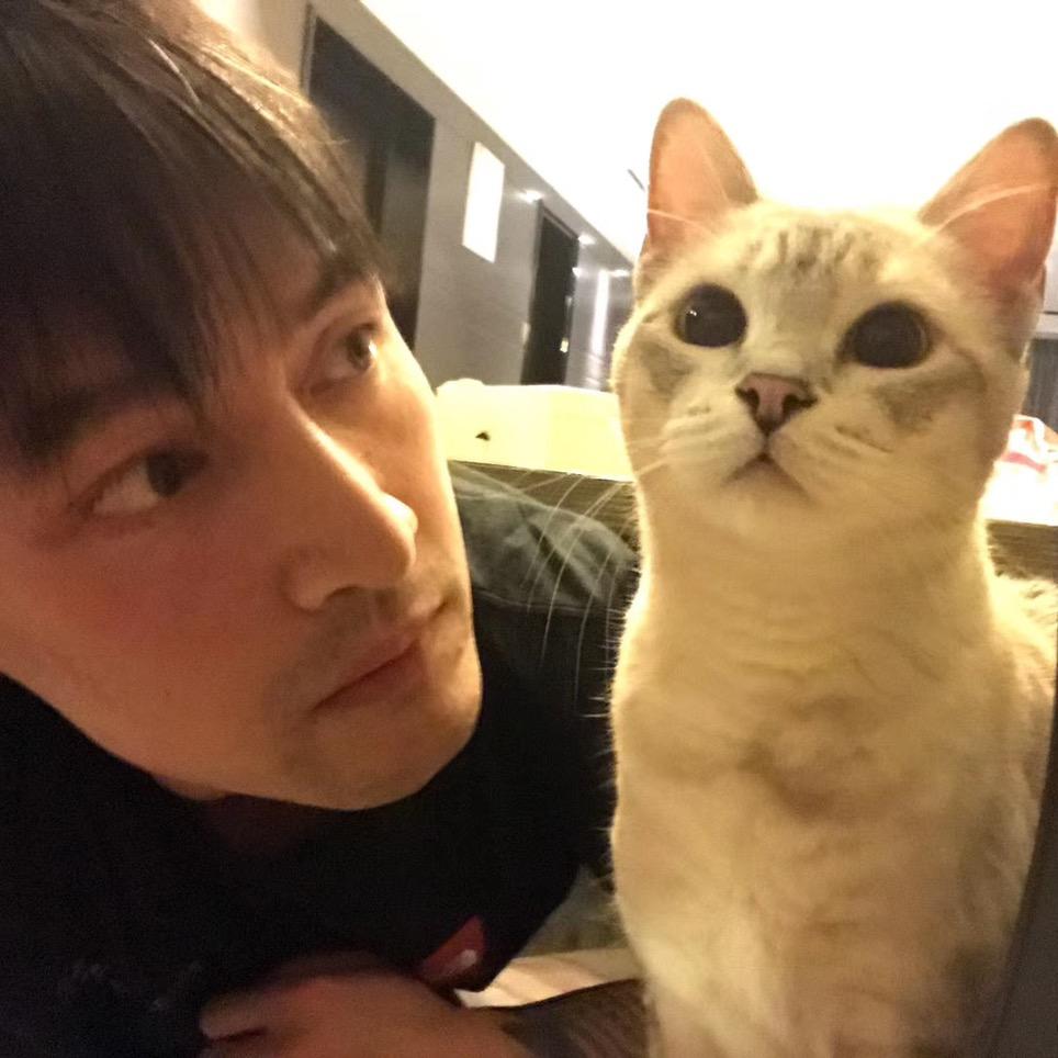 好吃懒睡的咪星人