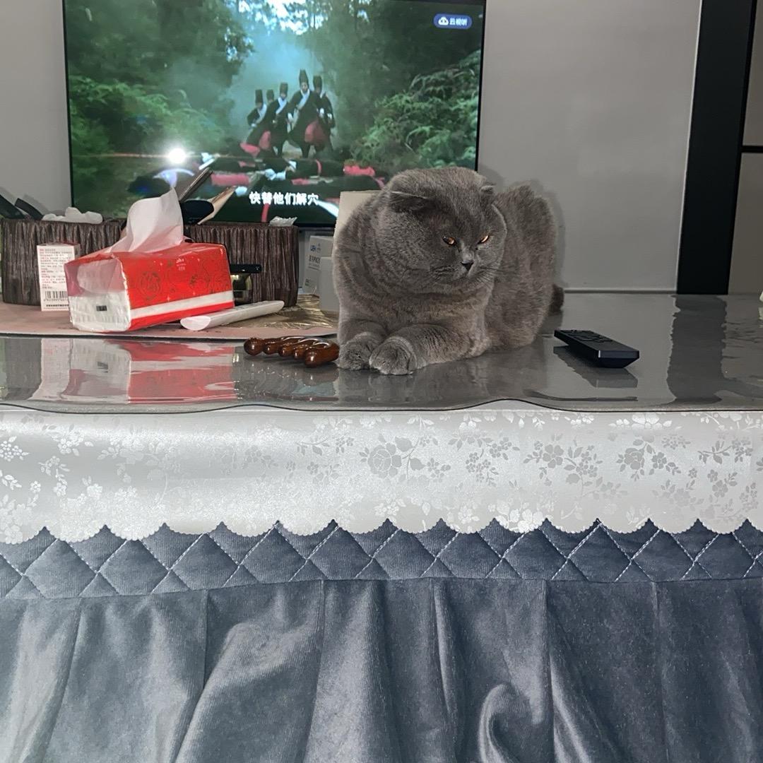 小胖子（中国加油）