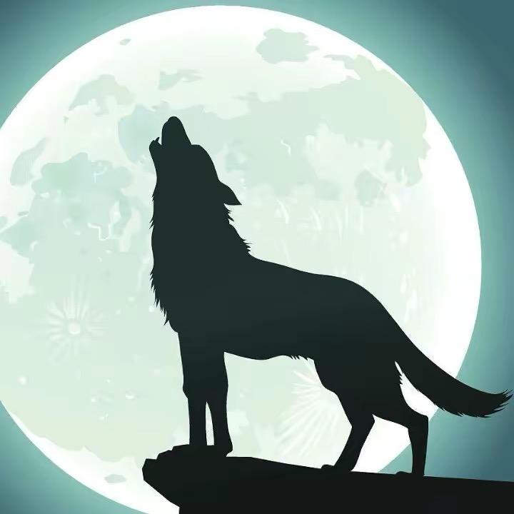 傅甲一方💵💳