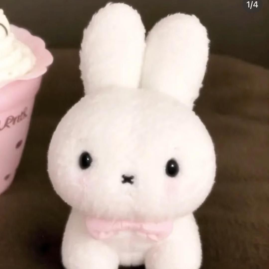 晓圆
